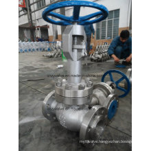 Low Temperature Extended Stem Stainless Steel Gate Valve